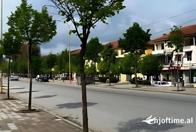 Shtepi me qera 1+1 ne Tirane - 397 Euro