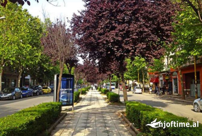 Ambient biznesi me qera 3+1 ne Tirane - 1,000 Euro