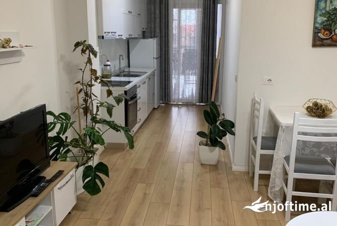 Shtepi me qera 1+1 ne Tirane - 450 Euro