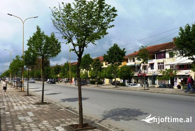 Shtepi me qera 4+1 ne Tirane - 1,101 Euro
