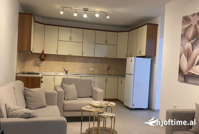 Ambient biznesi me qera 3+1 ne Tirane - 700 Euro