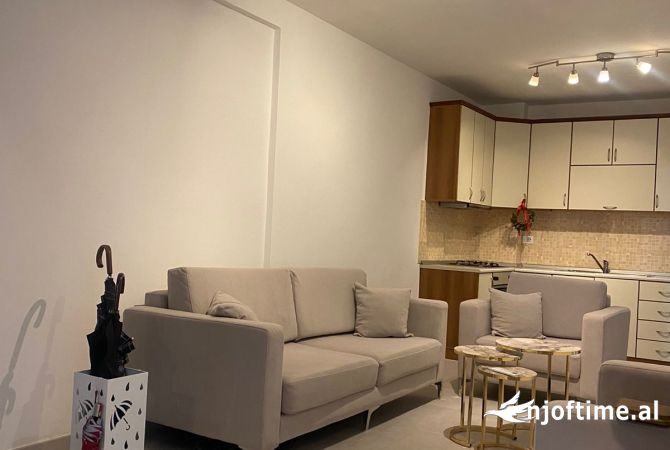 Ambient biznesi me qera 3+1 ne Tirane - 700 Euro