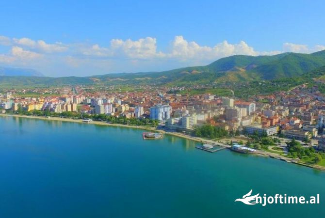 Ambient biznesi ne shitje 1+1 ne Pogradec - 100 Euro