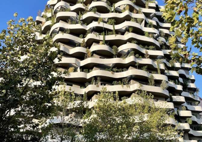 Ambient biznesi me qera 1+1 ne Tirane - 8,000 Euro