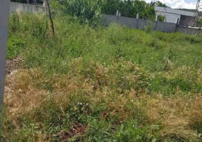 SHITET TOKE NE AUTOSTRADEN TIRENE-DURES KM 1