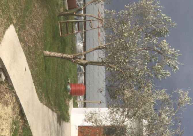 Business Property for Rent in Tirana - 50,000 Leke