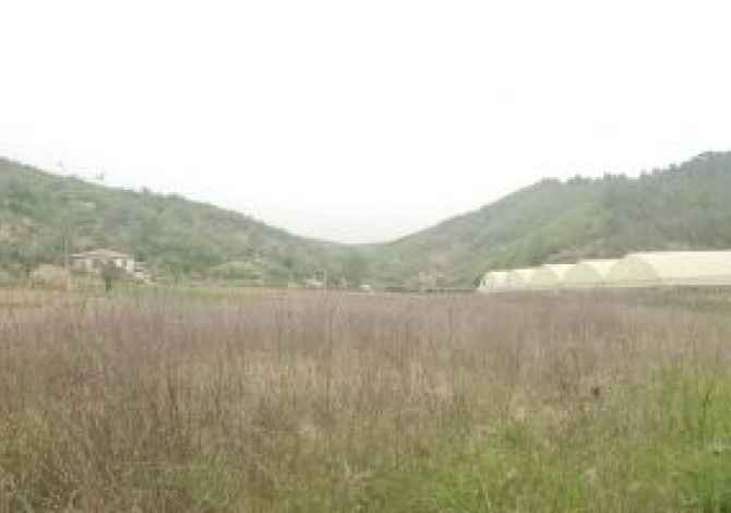 Truall ose Toke ne Tirane - 87,500 Euro