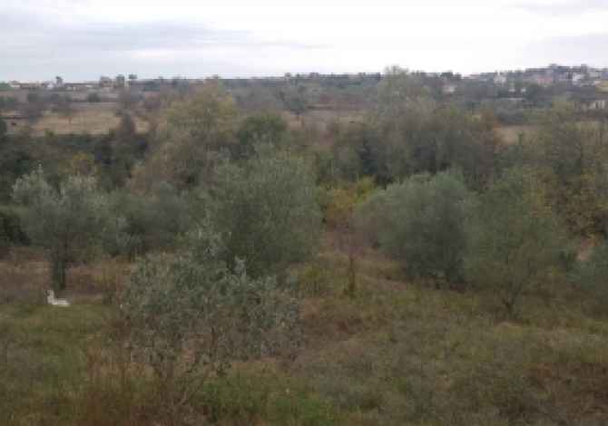 Truall ose Toke ne Tirane - 40,000 Euro