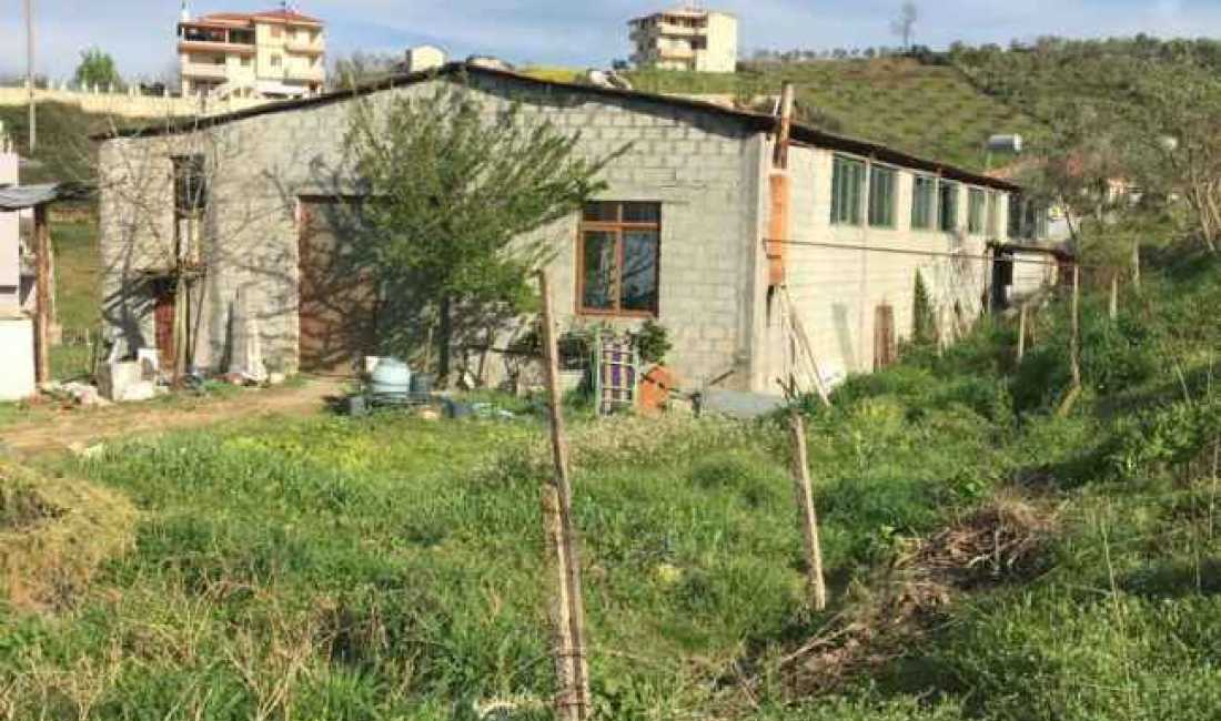 Foto 1