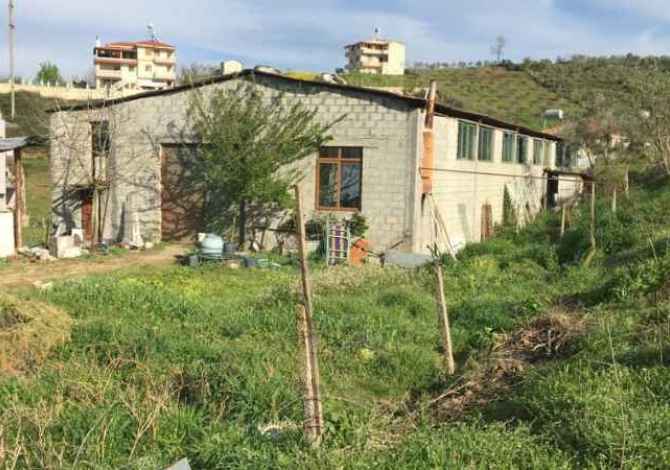 Truall ose Toke  ne Tirane - 40,000 Euro