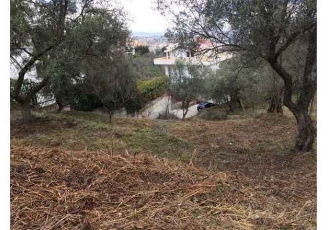 Truall ose Toke ne Tirane - 78,000 Euro