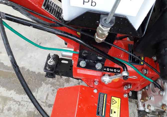 Shitet freza italiane orgjinale