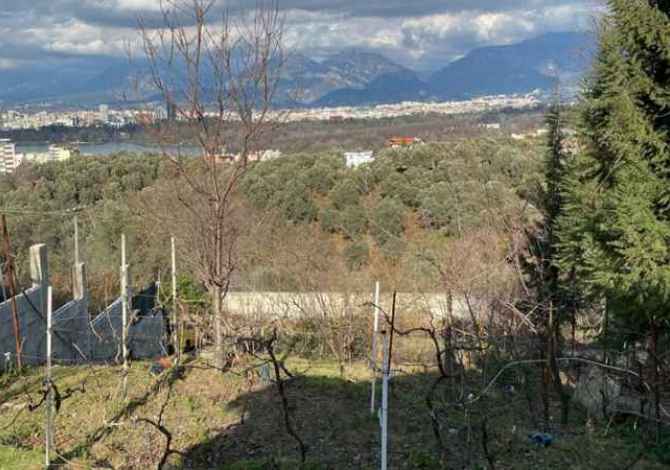 Truall ose Toke ne Tirane - 100,000 Euro
