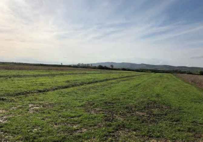 Terreno in vendita  a Lushnja - 3,221,550 Leke