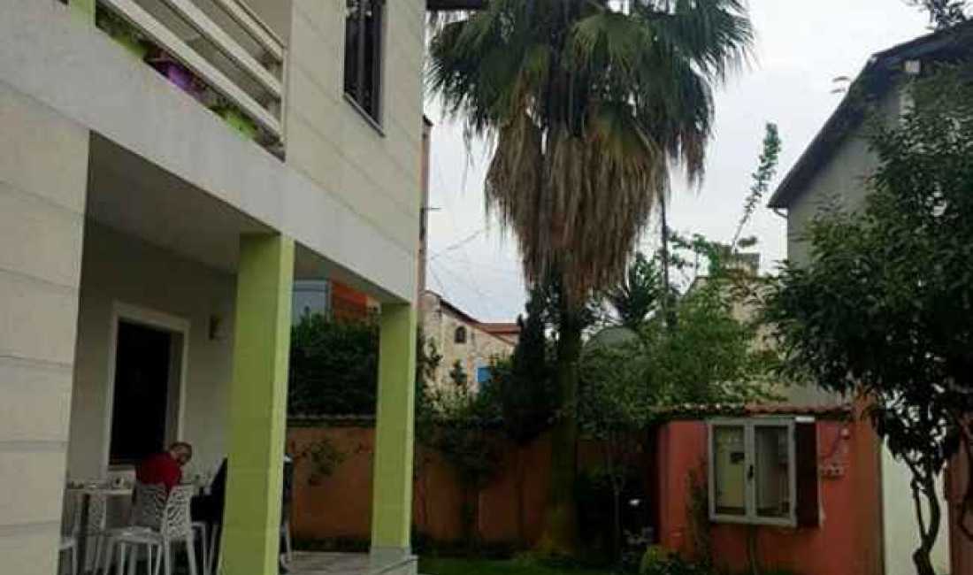 Foto 1