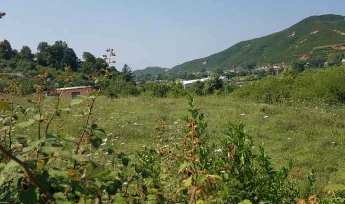 SHITET TOKE NE  TUFINE AFER RRUGES SE ARBERIT