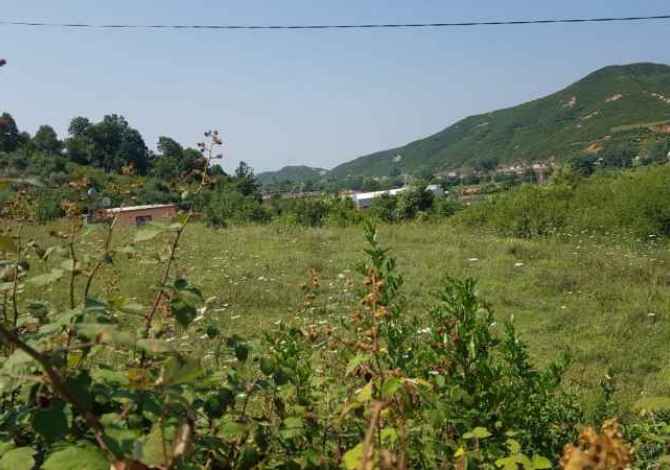 Truall ose Toke  ne Tirane - 177,450 Euro