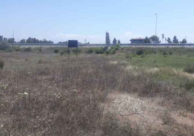 Truall ose Toke  ne Tirane - 80,000 Euro