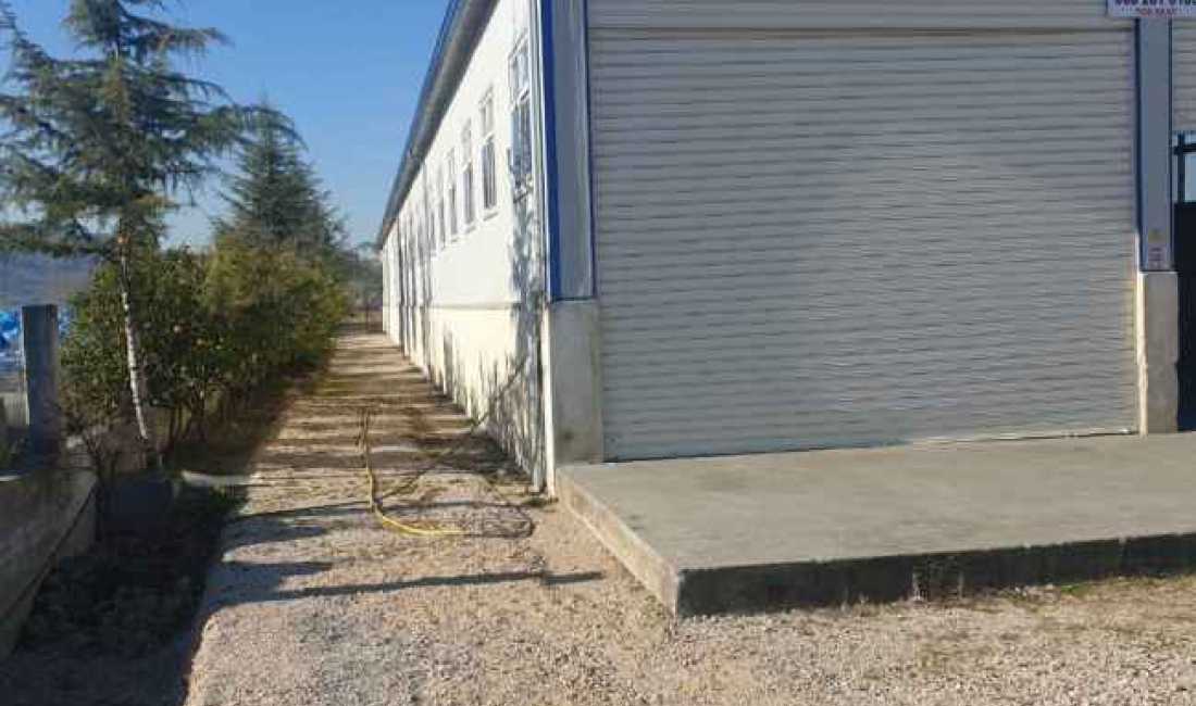 Foto 3