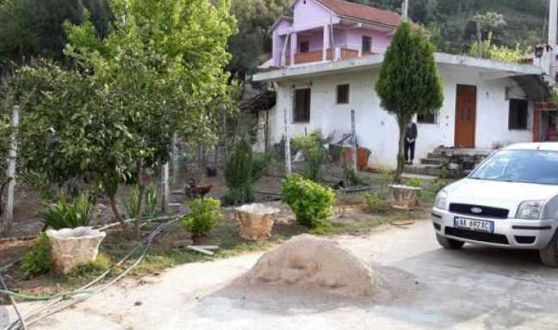 Foto 1