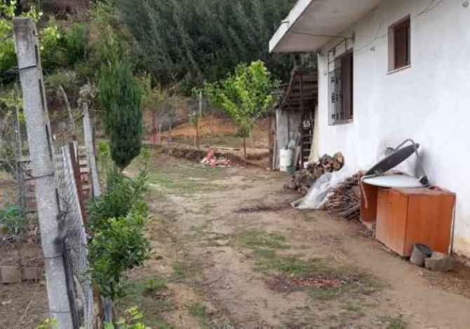 Terreno in vendita  a Tirana - 60,000 Euro