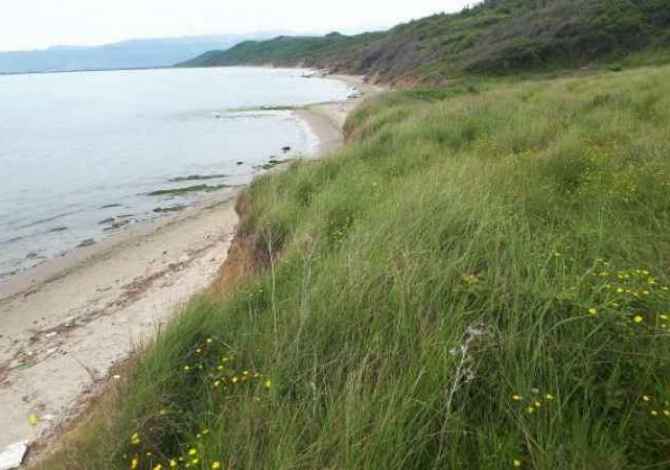 Truall ose Toke ne Durres - 297,000 Euro