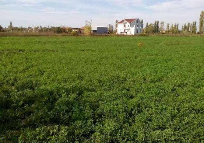 Terreno in vendita  a Alessio - 125,000 Euro