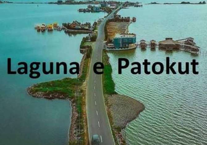 SHITET TOKE + TRUALL me HIPOTEKE prane Lagunes se Patokut.