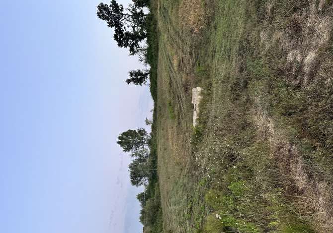 Truall ose Toke  ne Tirane - 202,500 Euro