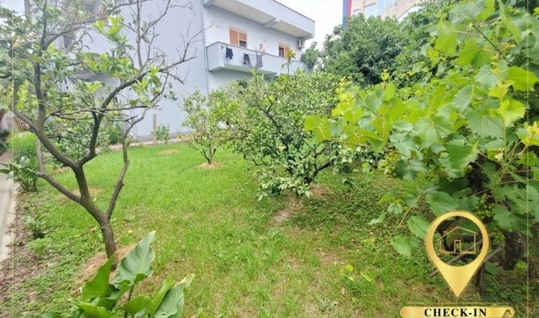 Foto 9