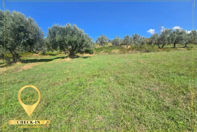 Truall ose Toke ne Tirane - 100,000 Euro