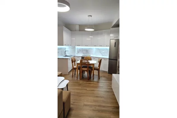 Shtepi me qera Apartament ne Tirane, 1+1, Mobilimi E mobiluar, Pagesa 55,000  Leke.