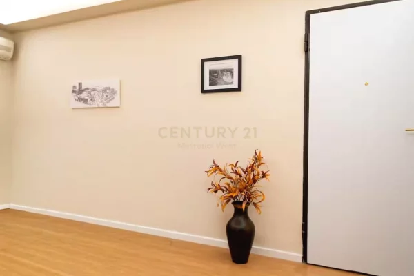 Ambient biznesi me qera 3+1 ne Tirane - 480 Euro