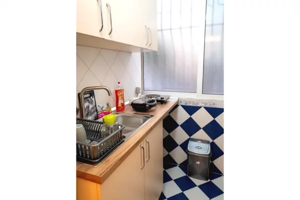Ambient biznesi me qera 3+1 ne Tirane - 480 Euro