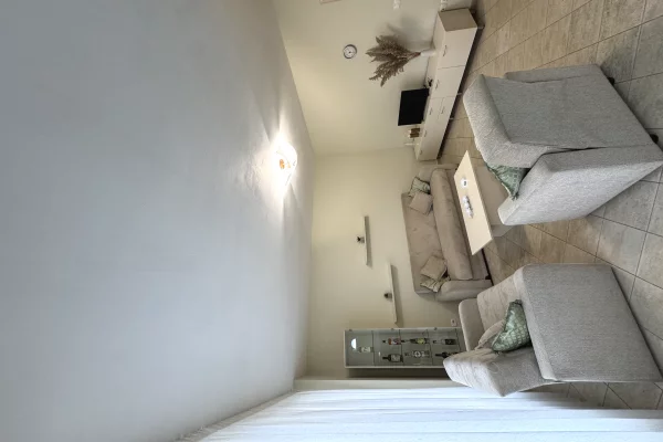 Shtepi me qera Apartament ne Tirane, 1+1, Mobilimi E mobiluar, Pagesa 55,000  Leke.