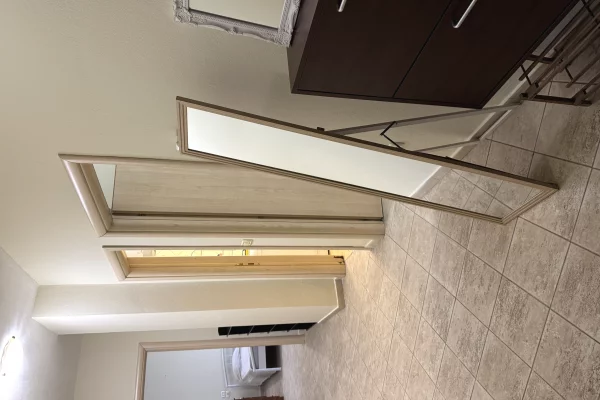 Shtepi me qera Apartament ne Tirane, 1+1, Mobilimi E mobiluar, Pagesa 55,000  Leke.