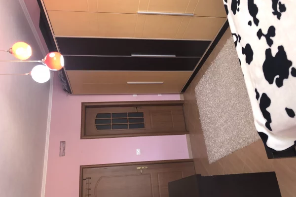 Shtepi ne shitje Apartament ne Tirane, 2+1, Mobilimi E mobiluar, Pagesa 151,000  Euro.