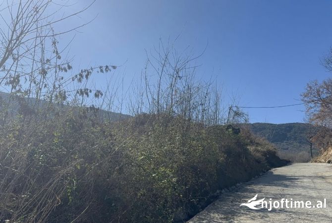 Land for Sale  in Tirana - 320,000 Euro