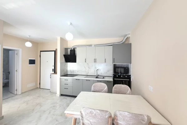 Shtepi ne shitje 1+1 ne Tirane - 122,000 Euro