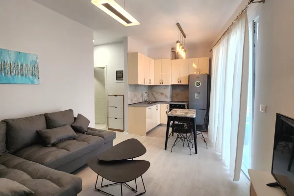 Apartment for rent in Tirana 1+1, Furnished