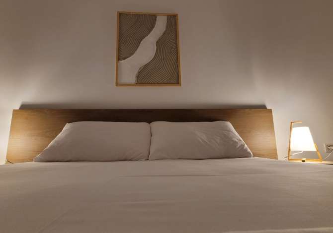 Apartment for rent in Tirana 2+1, Furnished