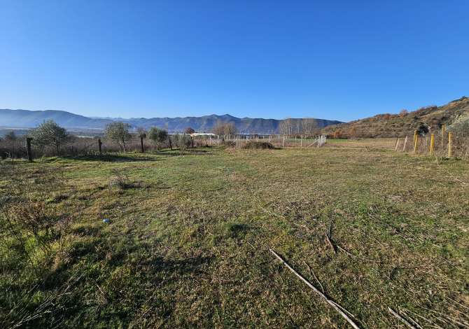 Truall ose Toke ne Tirane - 45,500 Euro