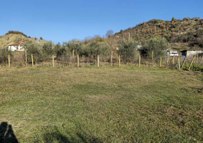 Truall ose Toke ne Tirane - 45,500 Euro