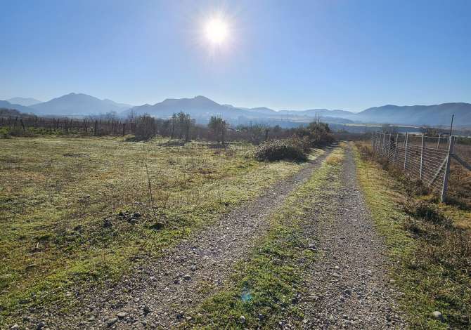 Truall ose Toke ne Tirane - 45,500 Euro