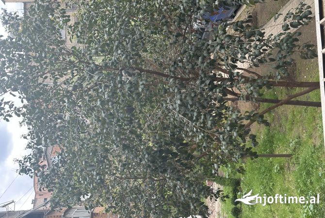 Shtepi ne shitje 1+1 ne Tirane - 110,000 Euro
