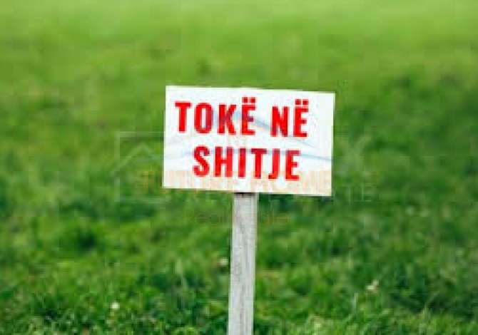Truall ose Toke  ne Tirane - 210,000 Euro