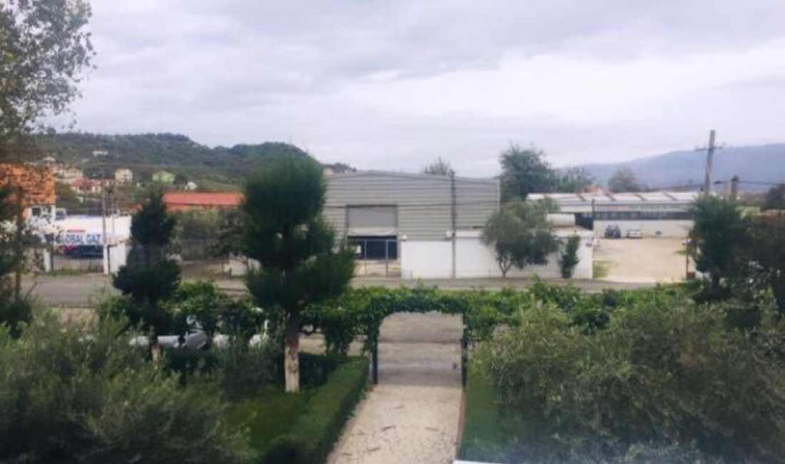 Foto 3