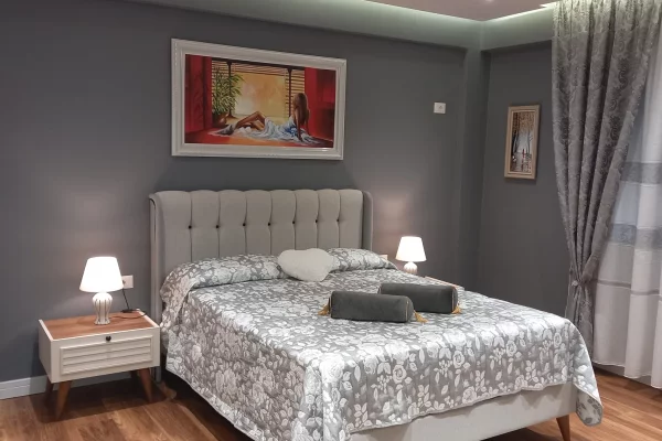 Shtepi me qera 1+1 ne Tirane - 700 Euro