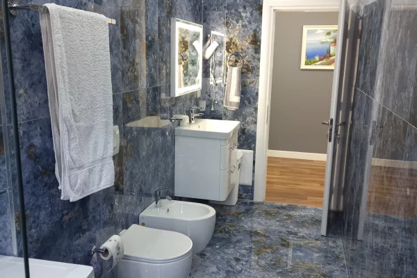 Shtepi me qera Apartament ne Tirane, 1+1, Mobilimi E mobiluar, Pagesa 700  Euro.