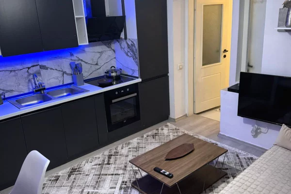 Apartment for rent in Tirana 1+1, Furnished